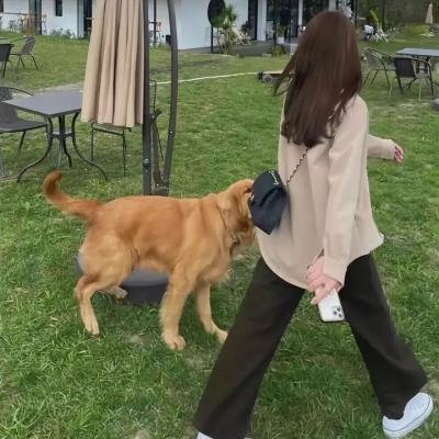 江湖儿女